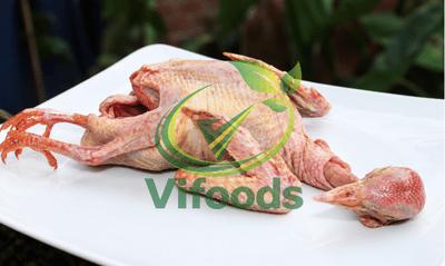 Bồ Câu Ra Ràng Làm Sạch 450gr/con