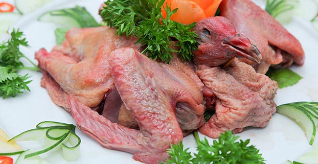 Chuyên cung cấp chim bồ câu thịt - dvt